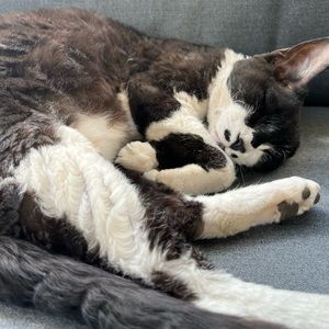 Meet your Posher, Kate